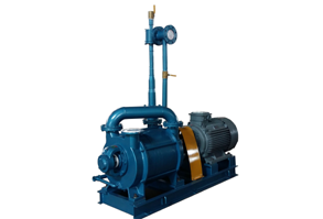 2SK-P1水環式真空泵